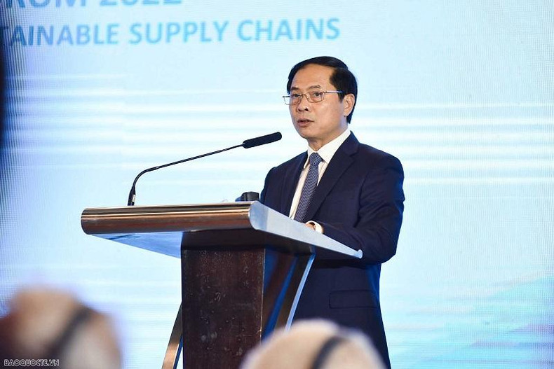 Le ministre vietnamien des Affaires étrangères, Bùi Thanh Son. Photo : Baoquocte.