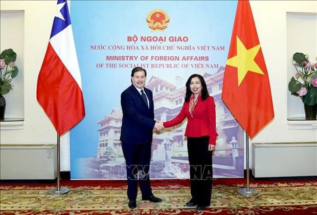 Le Secrétaire général de la politique étrangère du ministère des Affaires étrangères du Chili, Alex Wetzig Abdale, et l’assistante du ministre vietnamien des Affaires étrangères, Lê Thi Thu Hang. Photo : VNA. Le Secrétaire général de la politique étrangère du ministère des Affaires étrangères du Chili, Alex Wetzig Abdale, et l’assistante du ministre vietnamien des Affaires étrangères, Lê Thi Thu Hang. Photo : VNA.