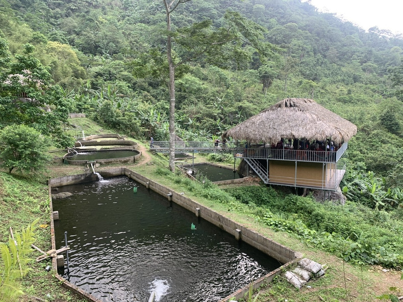Zone d’élevage de truites et d’esturgeons au sommet de Pù Lâu. Zone d’élevage de truites et d’esturgeons au sommet de Pù Lâu.