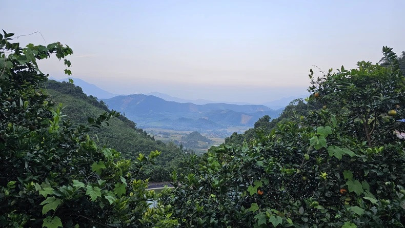 Une partie de la forêt de Mahaxay. Une partie de la forêt de Mahaxay.