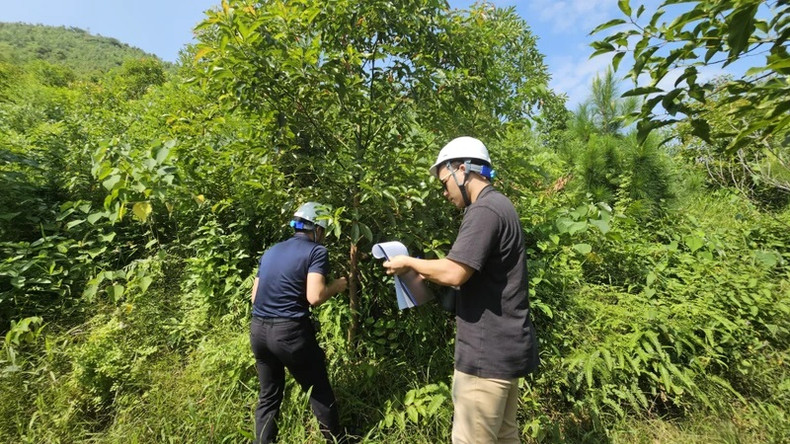 Les ingénieurs du projet entreprennent la plantation de forêts à Mahaxay (Laos). Les ingénieurs du projet entreprennent la plantation de forêts à Mahaxay (Laos).