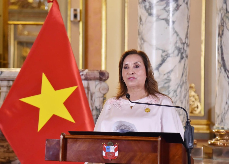 La présidente péruvienne, Dina Ercilia Boluarte Zegarra. Photo : VNA. La présidente péruvienne, Dina Ercilia Boluarte Zegarra. Photo : VNA.