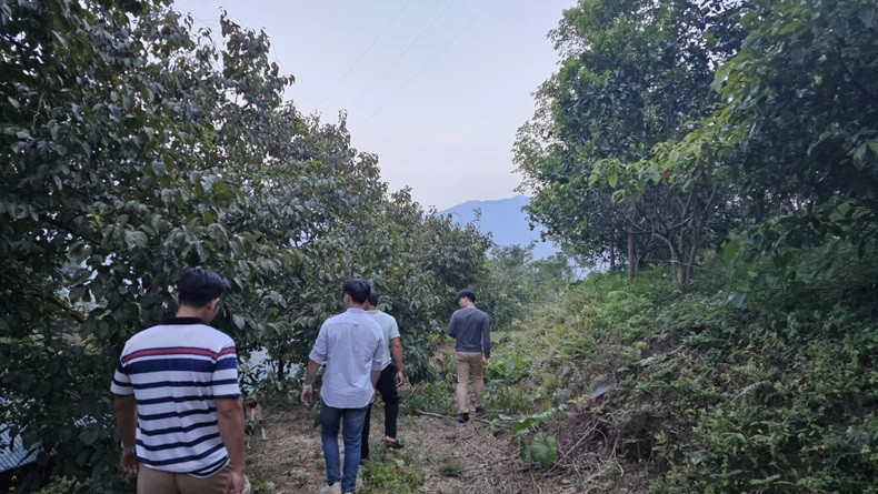 Un aspect remarquable est l’application de technologies de pointe, telles que l’IA et les SIG pour gérer et surveiller les forêts plus efficacement. Un aspect remarquable est l’application de technologies de pointe, telles que l’IA et les SIG pour gérer et surveiller les forêts plus efficacement.