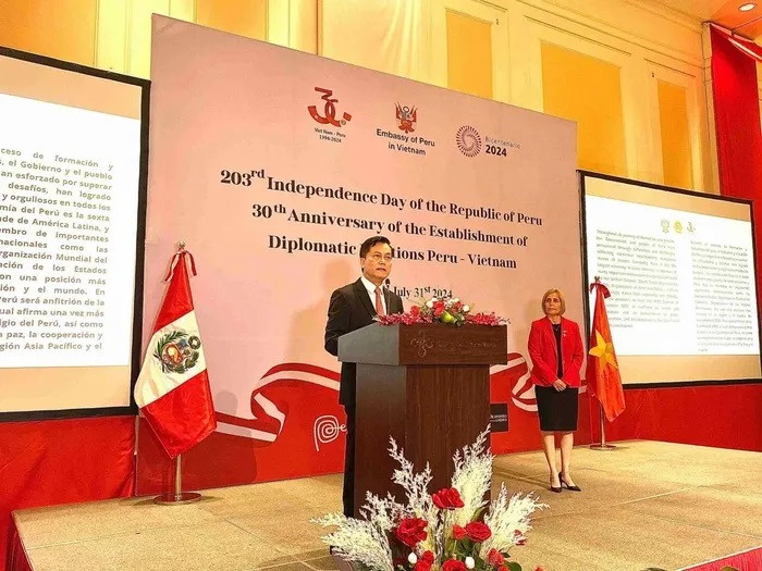 Le vice-ministre des Affaires étrangères Ha Kim Ngoc prend la parole lors de la cérémonie. Photo : baoquocte Le vice-ministre des Affaires étrangères Ha Kim Ngoc prend la parole lors de la cérémonie. Photo : baoquocte