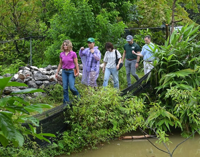 Les invités visitent le jardin d'herbes médicinales de la coopérative de conservation et de développement des plantes médicinales de Soc Son. Photo : NN. Les invités visitent le jardin d'herbes médicinales de la coopérative de conservation et de développement des plantes médicinales de Soc Son. Photo : NN.
