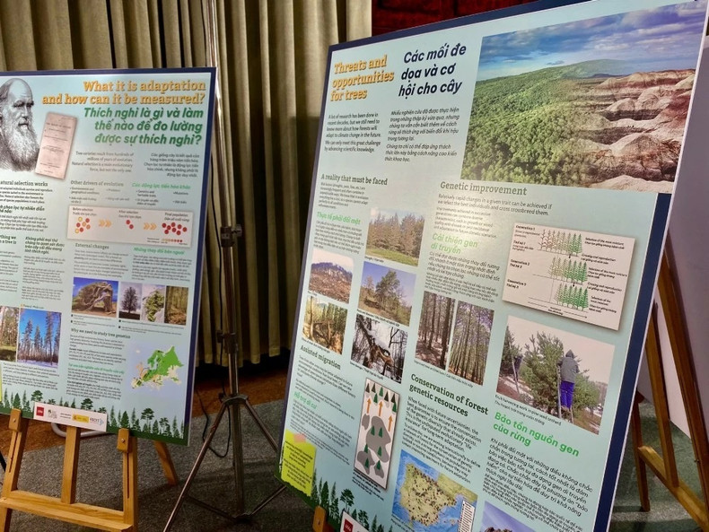 L’exposition présente plus de 30 panneaux bilingues vietnamien-anglais, ainsi que des matériaux et échantillons multisensoriels, offrant une vision globale du rôle essentiel des forêts. Photo : Baoquocte. L’exposition présente plus de 30 panneaux bilingues vietnamien-anglais, ainsi que des matériaux et échantillons multisensoriels, offrant une vision globale du rôle essentiel des forêts. Photo : Baoquocte.