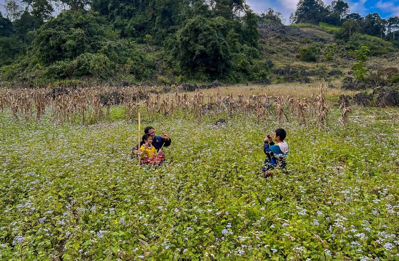 La meilleure période pour visiter Ta So se situe entre février et avril, lorsque le temps est frais et que les fleurs printanières éclosent, créant ainsi un décor parfait pour les visiteurs en quête de photos mémorables. La meilleure période pour visiter Ta So se situe entre février et avril, lorsque le temps est frais et que les fleurs printanières éclosent, créant ainsi un décor parfait pour les visiteurs en quête de photos mémorables.