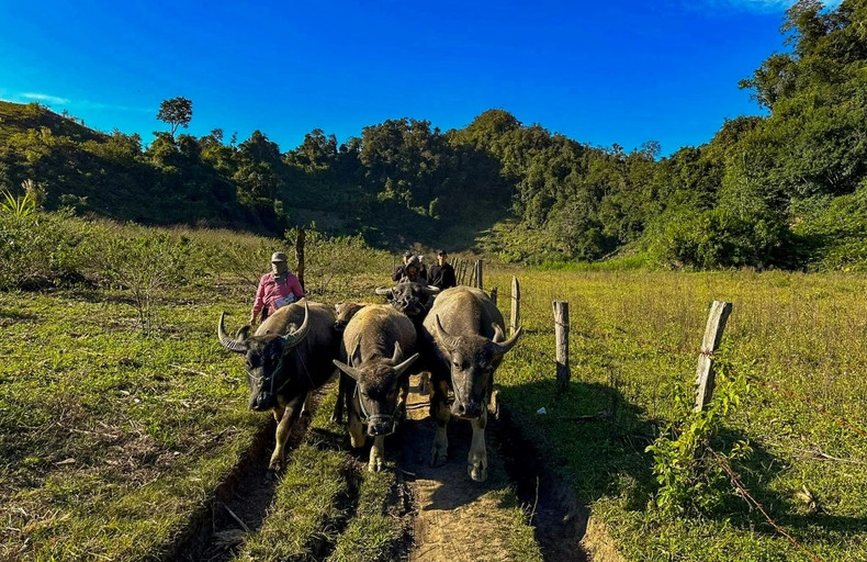 Les deux voyageurs ont été guidés par leur hôte jusqu’à la grotte de Tau, à travers des champs en terrasses, des cultures de maïs et des enclos d’animaux. Les deux voyageurs ont été guidés par leur hôte jusqu’à la grotte de Tau, à travers des champs en terrasses, des cultures de maïs et des enclos d’animaux.