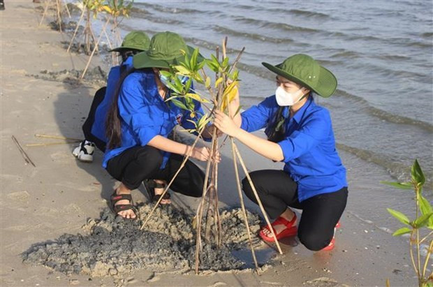 Des jeunes de Khanh Hoa plantent des palétuviers dans les mangroves le long de la lagune de Thuy Triêu. Photo : VNA. Des jeunes de Khanh Hoa plantent des palétuviers dans les mangroves le long de la lagune de Thuy Triêu. Photo : VNA.