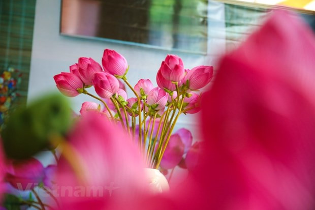 Photo : VNA. Photo : VNA.