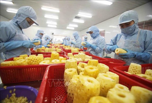 Les exportation de fruits et légumes a rapporté 4,2 milliards de dollars au Vietnam au cours des neuf premiers mois de l'année. Photo: VNA Les exportation de fruits et légumes a rapporté 4,2 milliards de dollars au Vietnam au cours des neuf premiers mois de l'année. Photo: VNA
