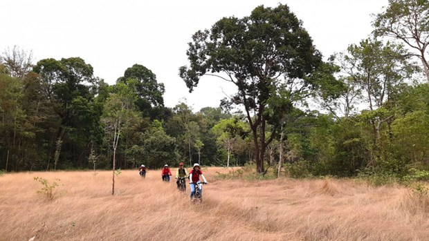 Des touristes dans le parc. Photo: Portail internet du Parc national de Lo Go - Xa Mat