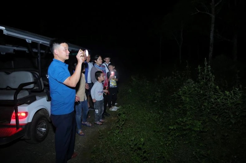 Les touristes sont enthousiasmés par la visite nocturne du parc national de Cuc Phuong. Les touristes sont enthousiasmés par la visite nocturne du parc national de Cuc Phuong.