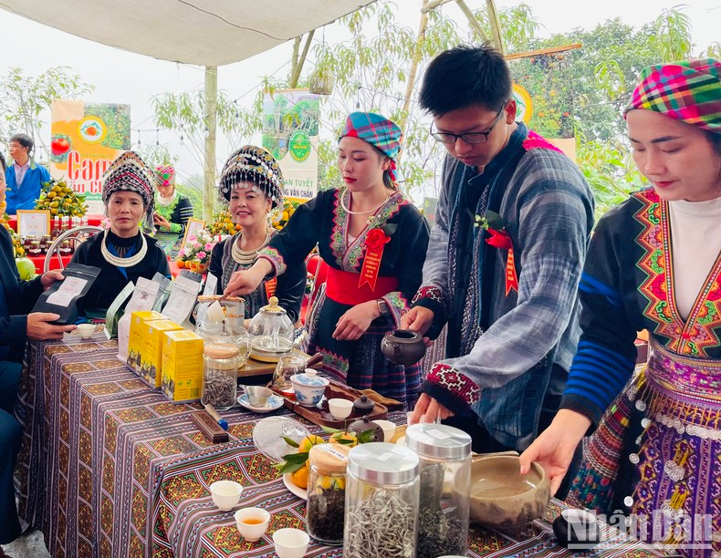 Préparation du thé Shan Tuyêt pour servir les touristes dans la commune de Suôi Giàng (district de Van Chân). Préparation du thé Shan Tuyêt pour servir les touristes dans la commune de Suôi Giàng (district de Van Chân).
