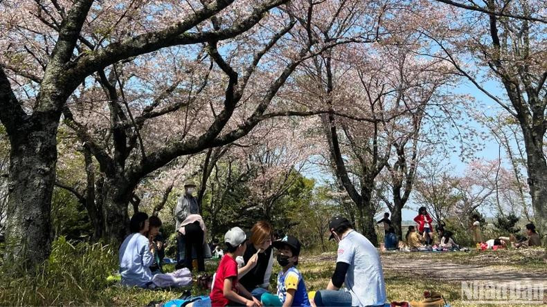 Les touristes vietnamiens ont accordé une priorité particulière au Japon pour leurs voyages à l’étranger en 2024. Photo : HOA PHAM.