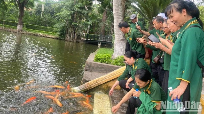 Des visiteurs visitent l’étang de poissons du Président Hô Chi Minh.