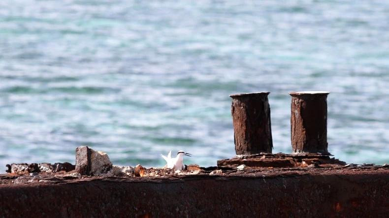Des touches de couleurs opposées, mais empreintes de poésie.