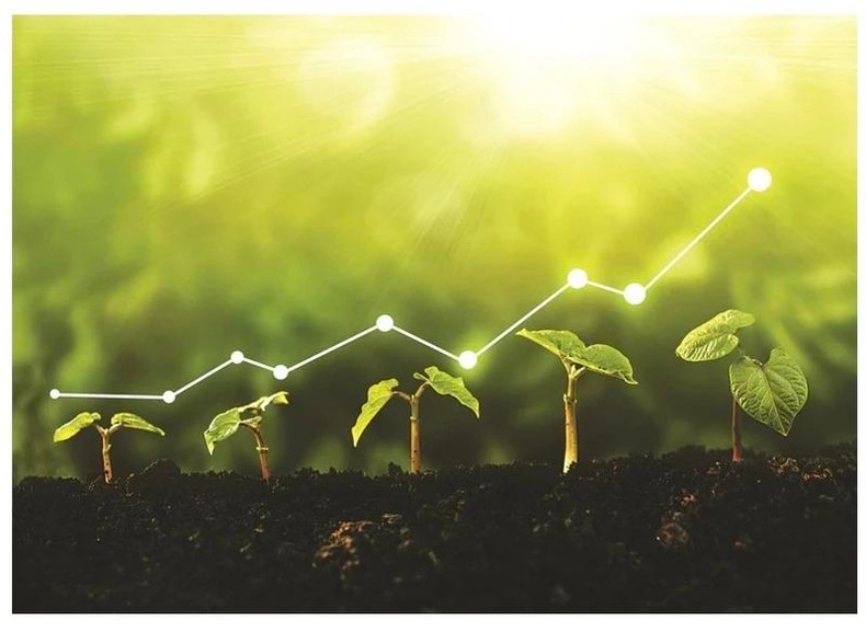 La transformation verte est une nécessité pour les entreprises. La transformation verte est une nécessité pour les entreprises.