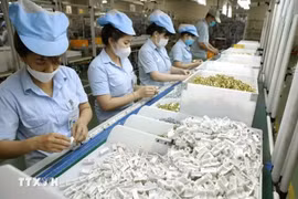 Fabrication d’appareils électroménagers à l’usine de Panasonic Life Solutions Vietnam, implantée dans le Parc industriel Vietnam-Singapour (VSIP) de Tân Uyên, province de Binh Duong. Photo d’illustration : VNA.