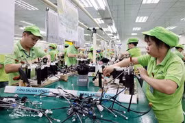 Le modèle de développement national doit désormais s'appuyer sur la science, la technologie et le savoir pour intégrer pleinement les entreprises locales dans les réseaux de valeur mondiaux. Photo : VNA.