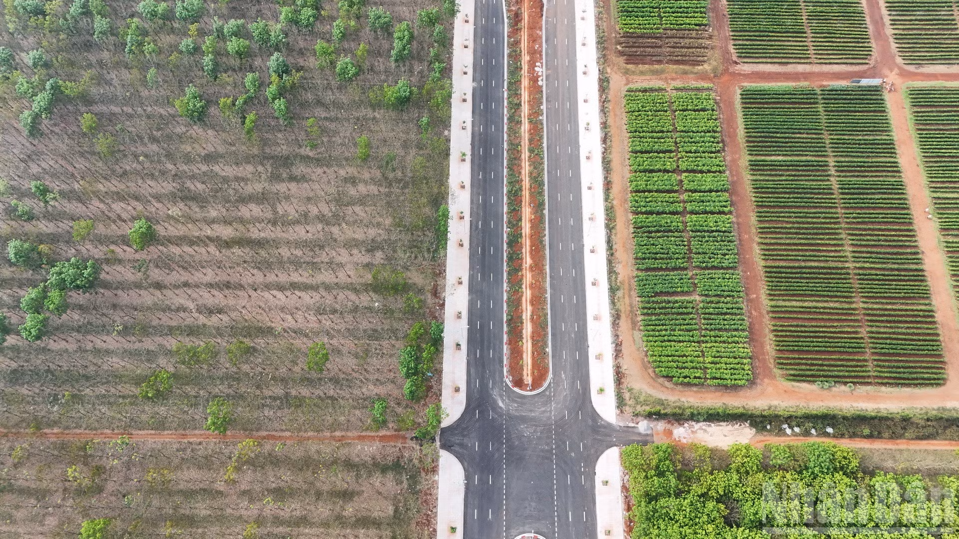 L’axe est construit avec une plateforme routière de 45 m de largeur, une chaussée de 14 m ; des trottoirs de 6 m de chaque côté et un terre-plein central planté d’arbres d’une largeur de 19 m.
