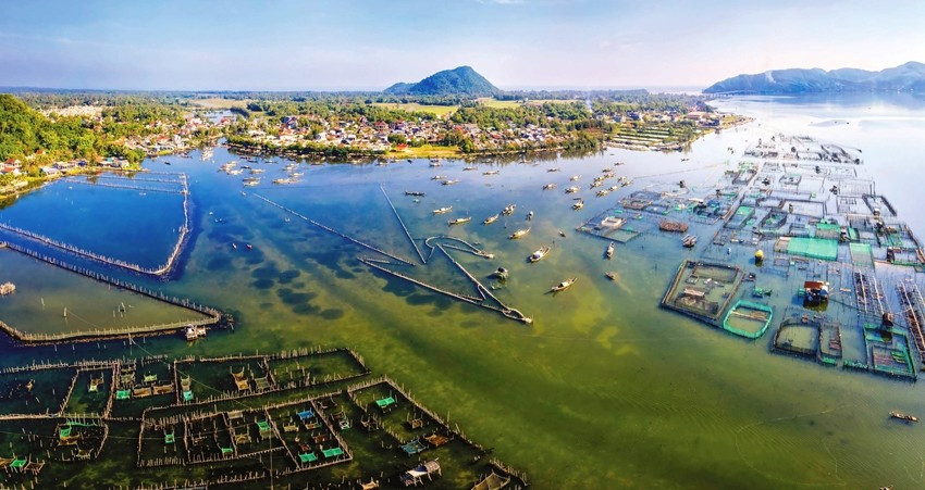 3010tam-giang-cau-hai-1.jpg