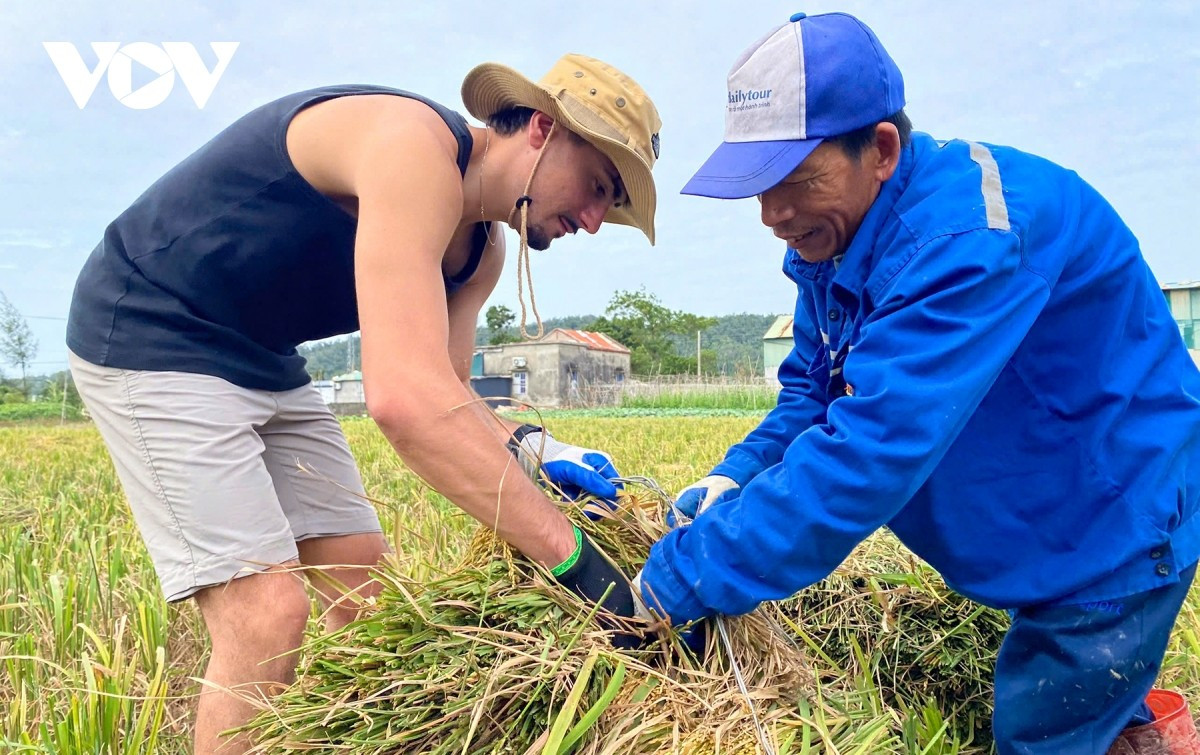 Mme Nguyen Minh Hue, propriétaire du homestay CoTo Center à Hai Tien, a déclaré : « Les visiteurs viennent à Co To non seulement pour admirer la mer ou déguster les fruits de mer, mais aussi pour toucher la vraie vie des habitants de l’île : aller aux champs, visiter les jardins, ramasser les palourdes, cueillir les coquillages, cuisiner un repas traditionnel… Nous les encourageons à participer à ces activités simples, car c’est précisément cette authenticité et cette chaleur humaine qui les incitent à revenir. »