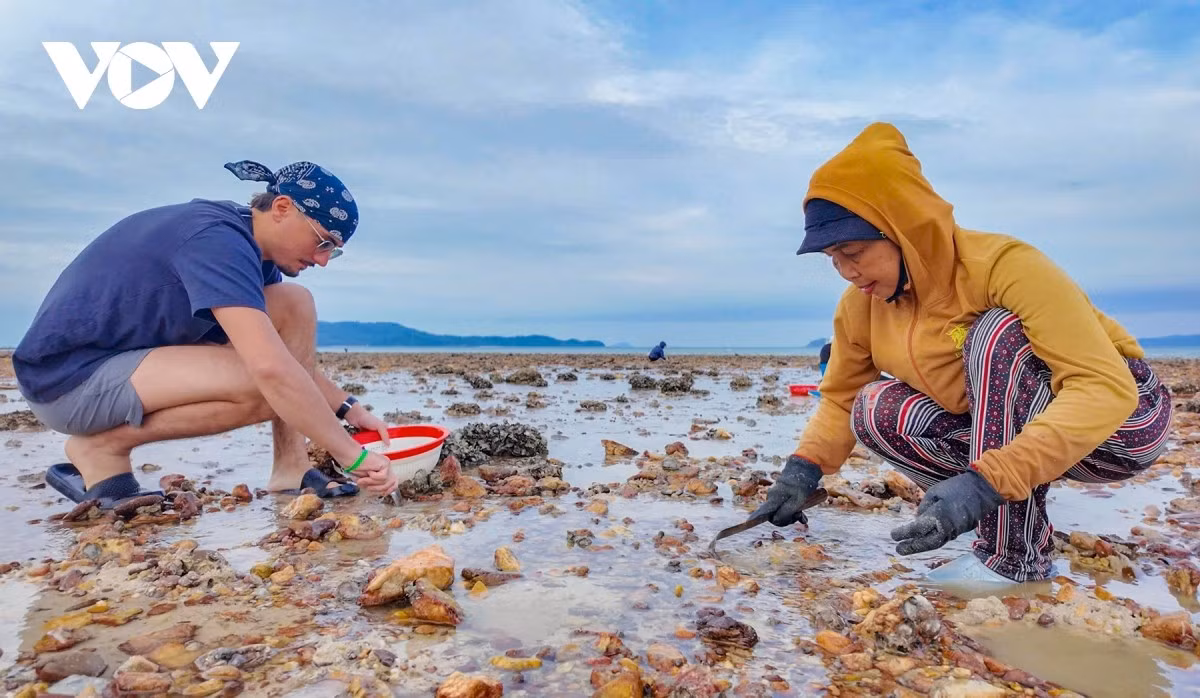 Pour les habitants de l’île, ouvrir un homestay n’est pas seulement faire du tourisme, mais aussi présenter l’identité maritime du Vietnam : sa cuisine, ses coutumes, son mode de vie lié à la nature, afin que chaque visiteur quittant Co To emporte avec lui un peu de parfum de mer, de riz mûr et de l’affection des insulaires.