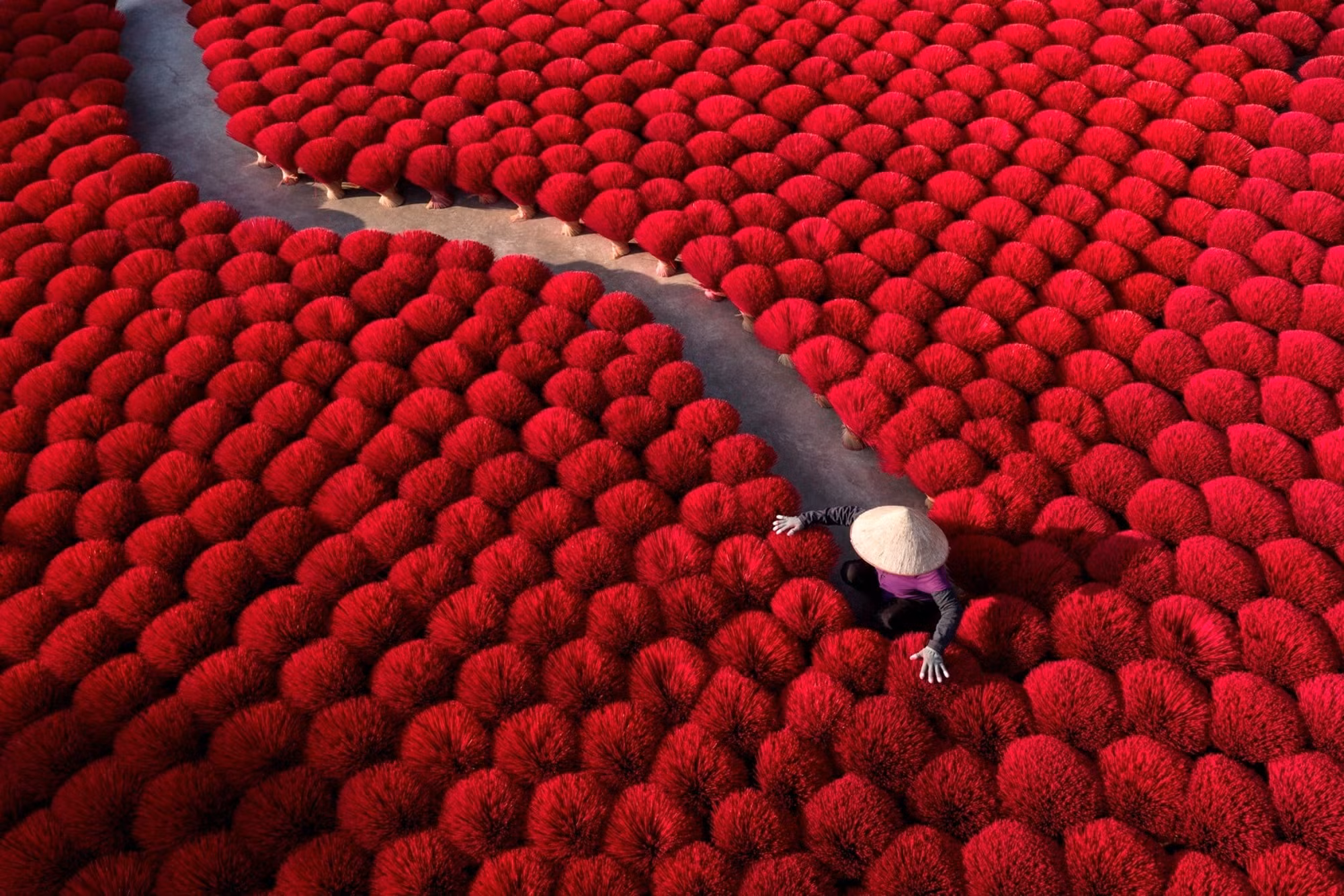 Le village de l’encens de Quang Tu Cau (commune de Ung Thien, Ha Noi)