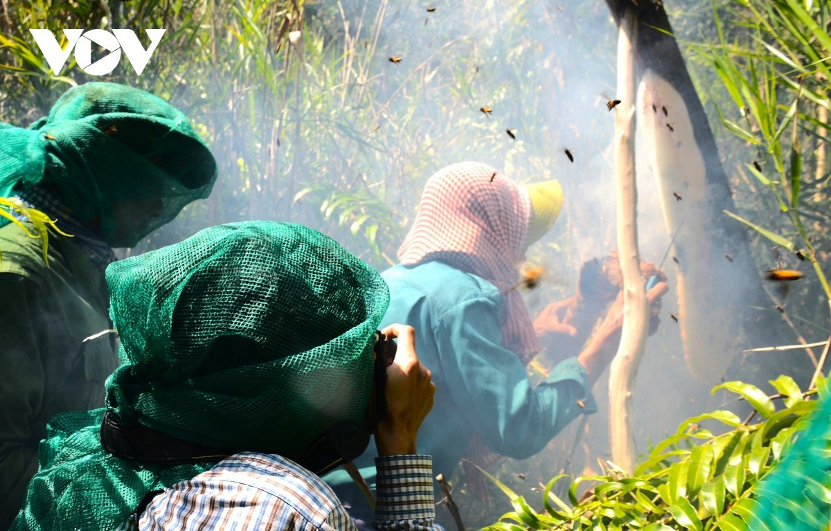 L’élevage d’abeilles sur perchoir (gac keo ong) est un métier traditionnel reconnu comme patrimoine culturel immatériel national. Cette activité, à la fois originale et captivante, séduit particulièrement les visiteurs. L’élevage d’abeilles sur perchoir (gac keo ong) est un métier traditionnel reconnu comme patrimoine culturel immatériel national. Cette activité, à la fois originale et captivante, séduit particulièrement les visiteurs.