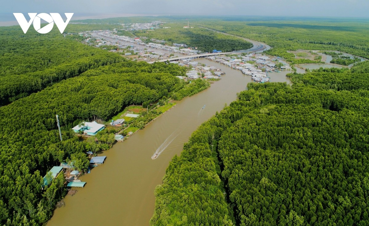 L’ancienne province de Ca Mau dispose d’un atout exceptionnel pour le développement de l’écotourisme grâce à deux écosystèmes uniques : la forêt de mangroves et la forêt d’eau douce. L’ancienne province de Ca Mau dispose d’un atout exceptionnel pour le développement de l’écotourisme grâce à deux écosystèmes uniques : la forêt de mangroves et la forêt d’eau douce.