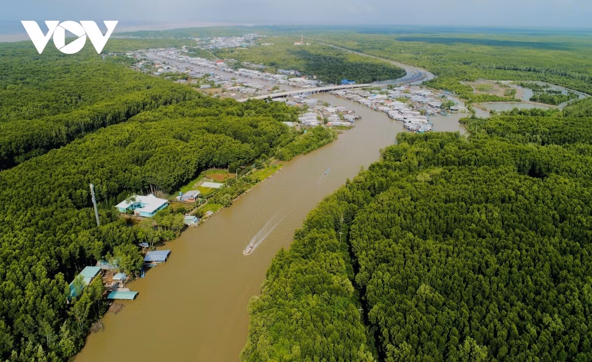 L’ancienne province de Ca Mau dispose d’un atout exceptionnel pour le développement de l’écotourisme grâce à deux écosystèmes uniques : la forêt de mangroves et la forêt d’eau douce.