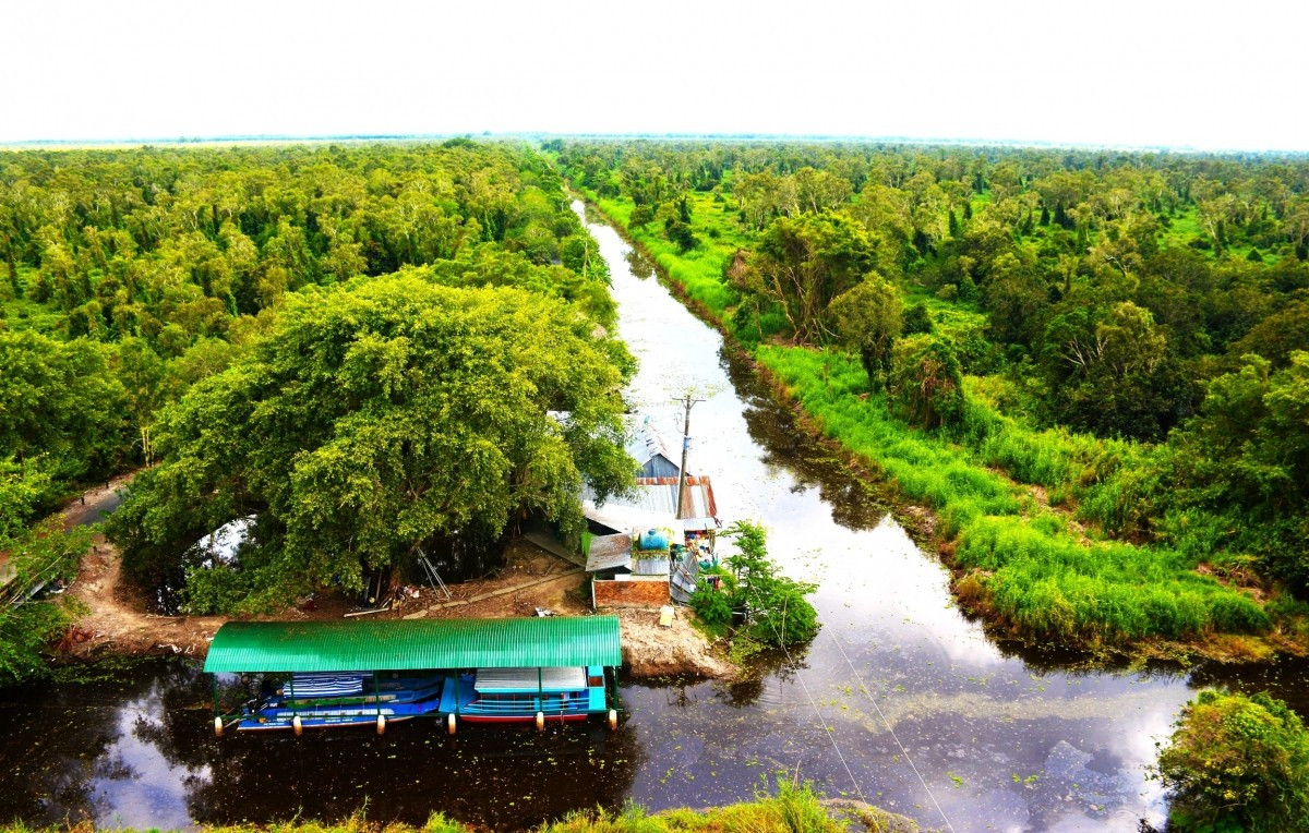 Le Parc national d’U Minh Ha symbolise l’écosystème des forêts d’eau douce, où la végétation de mélaleucas est d’une richesse et d’une diversité remarquables. Le Parc national d’U Minh Ha symbolise l’écosystème des forêts d’eau douce, où la végétation de mélaleucas est d’une richesse et d’une diversité remarquables.