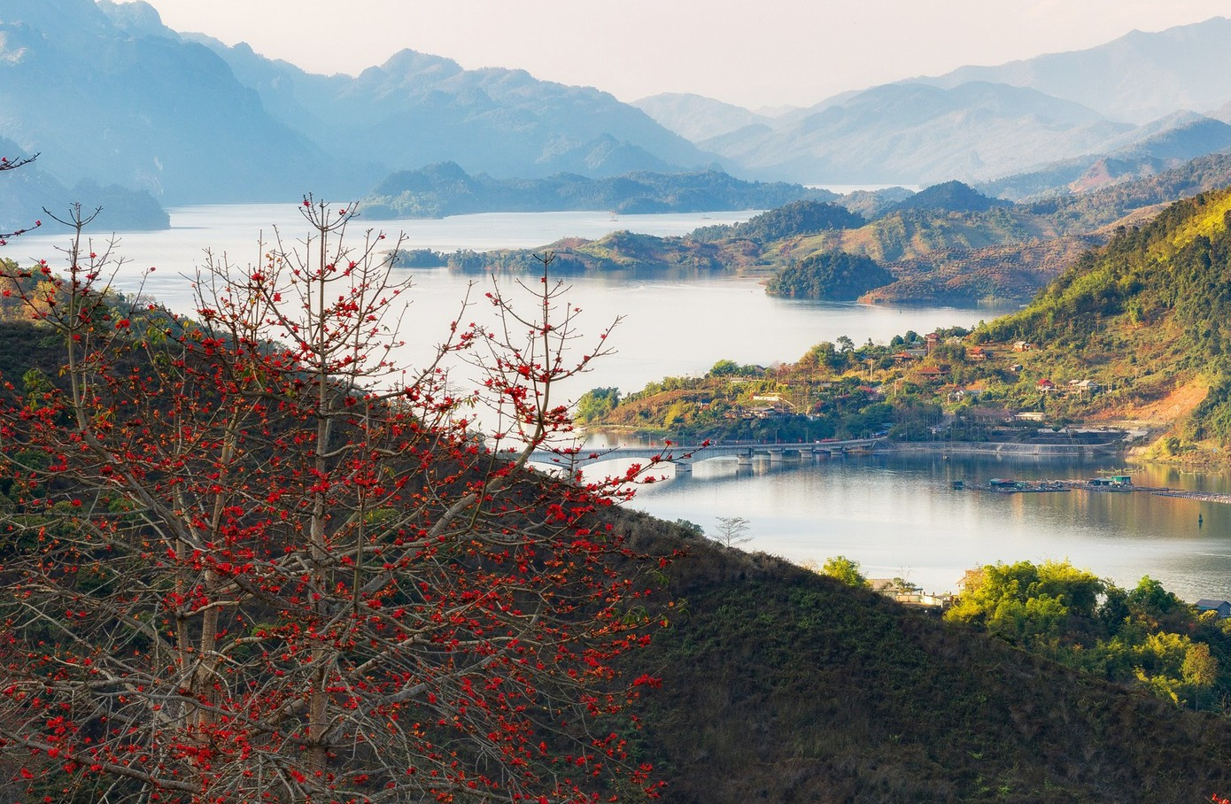 Les fleurs du kapokier rouge sont présentes partout dans les montagnes de Son La, mais les plus séduisantes se trouvent sur les rives de la rivière Da dans le district Quynh Nhai. À chaque saison de floraison, la couleur rouge jaillit comme une flamme entre le ciel et l'eau immense, retenant les pas des visiteurs.