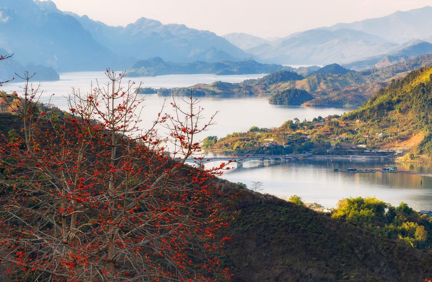 Les fleurs du kapokier rouge sont présentes partout dans les montagnes de Son La, mais les plus séduisantes se trouvent sur les rives de la rivière Da dans le district Quynh Nhai. À chaque saison de floraison, la couleur rouge jaillit comme une flamme entre le ciel et l'eau immense, retenant les pas des visiteurs.