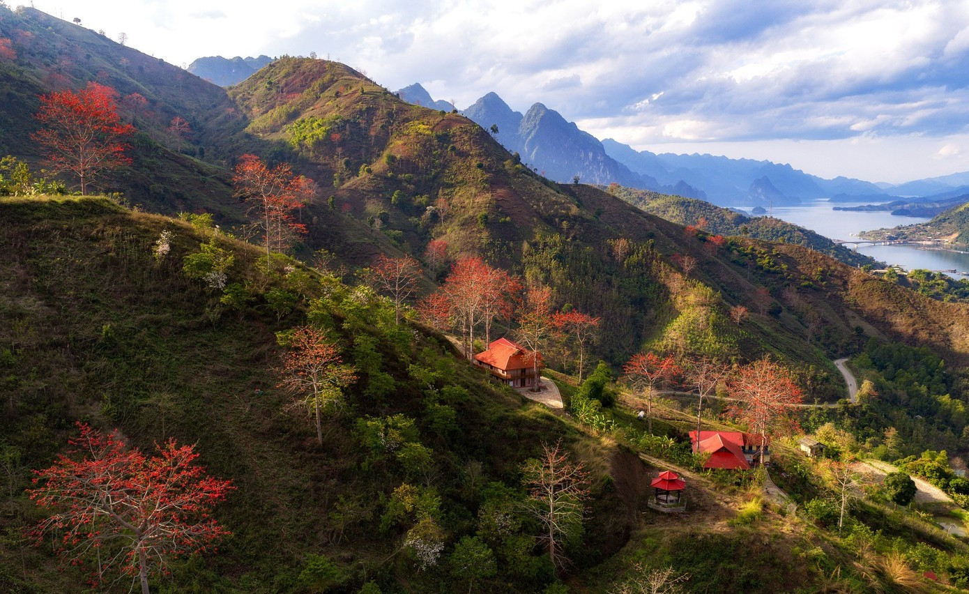 À peine le mois de mars commencé, les fleurs du kapokier rouge arrivent à Son La comme un rendez-vous. Il suffit d'une nuit de vent de montagne sec pour qu'au matin, des grappes de fleurs d'un rouge vif éclatent sur le fond du ciel bleu profond.
