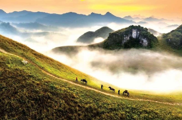 Nguyen Phuoc Hoai (Vietnam) – Rosée matinale sur la colline d’herbe brûlée de Ba Quang (Morning dew on Ba Quang burnt grass hill). Nguyen Phuoc Hoai (Vietnam) – Rosée matinale sur la colline d’herbe brûlée de Ba Quang (Morning dew on Ba Quang burnt grass hill).