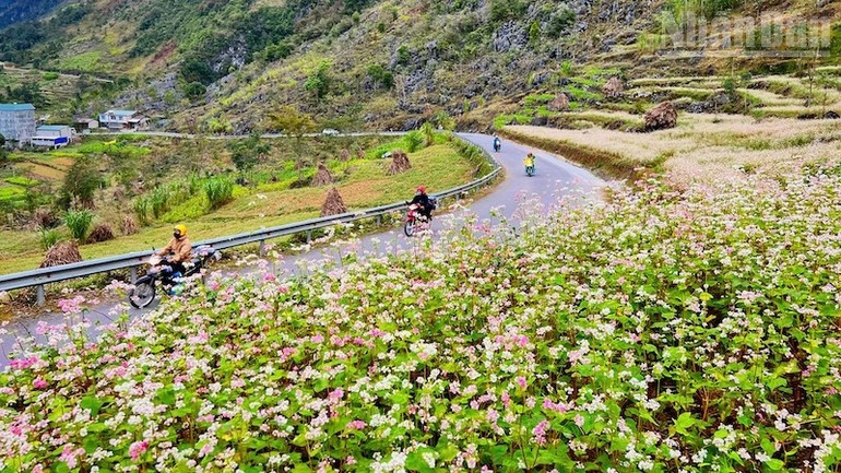 Le mois de novembre, sec et agréable, avec ses saisons florales successives et de nombreux festivals typiques, invite les visiteurs à découvrir Tuyen Quang.