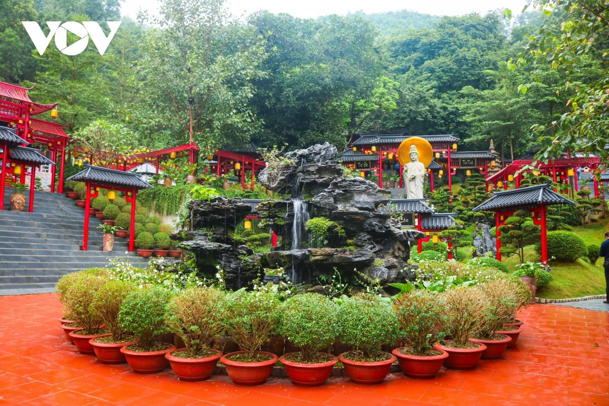 Les miniatures paysagées et les bonsaïs sont entretenus avec un soin méticuleux, jusque dans les plus petits détails.