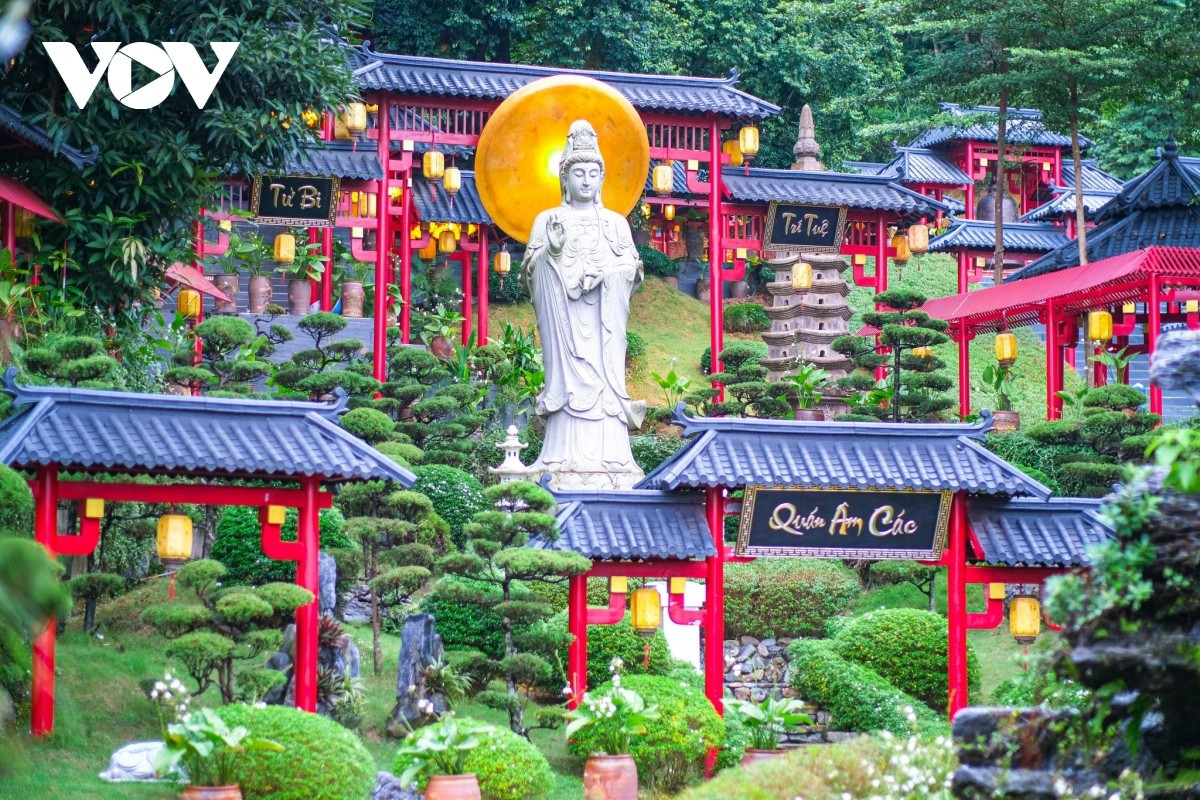 Un havre de tranquillité sous l’ombre d’un arbre centenaire au temple Cay Thi (Ninh Binh)