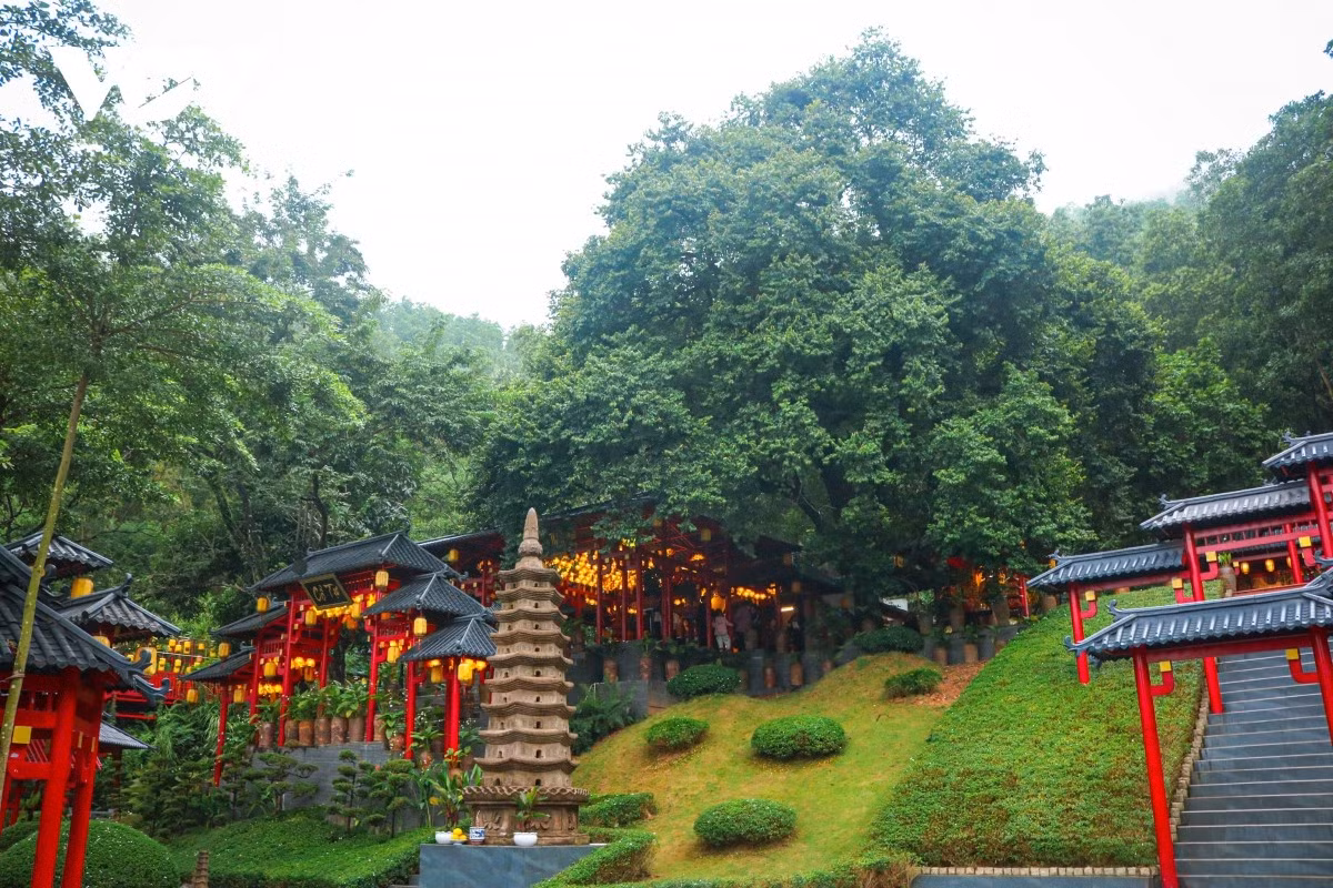 Selon le Vénérable Thich Hue Hanh, l’actuel abbé, le nom du temple provient d’un arbre “thi” plusieurs fois centenaire qui se tient près de l’ancien sanctuaire.