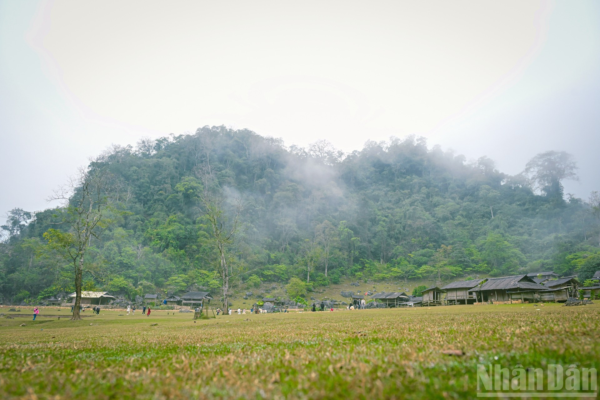 Grâce à sa beauté intacte et sauvage, Hang Tau est en train de devenir une destination attrayante pour les visiteurs dans leur parcours de découverte de Moc Chau.