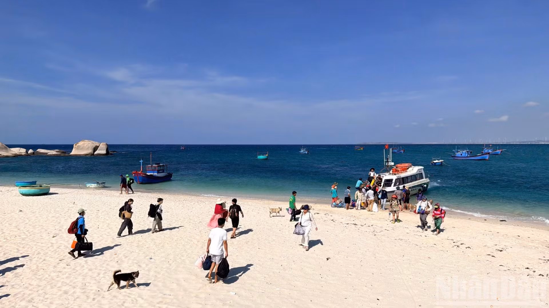 De nombreux touristes viennent vivre des expériences écologiques sur l’île de Cu Lao Cau.