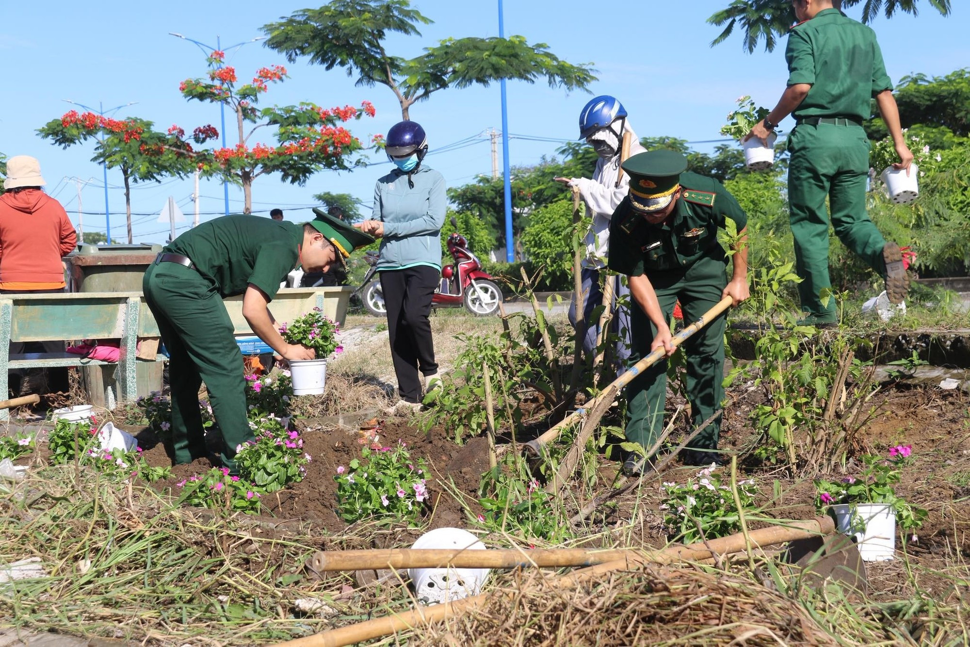 Les forces armées stationnées dans l’ancien district de Can Gio participent au nettoyage et à la plantation d’arbres.