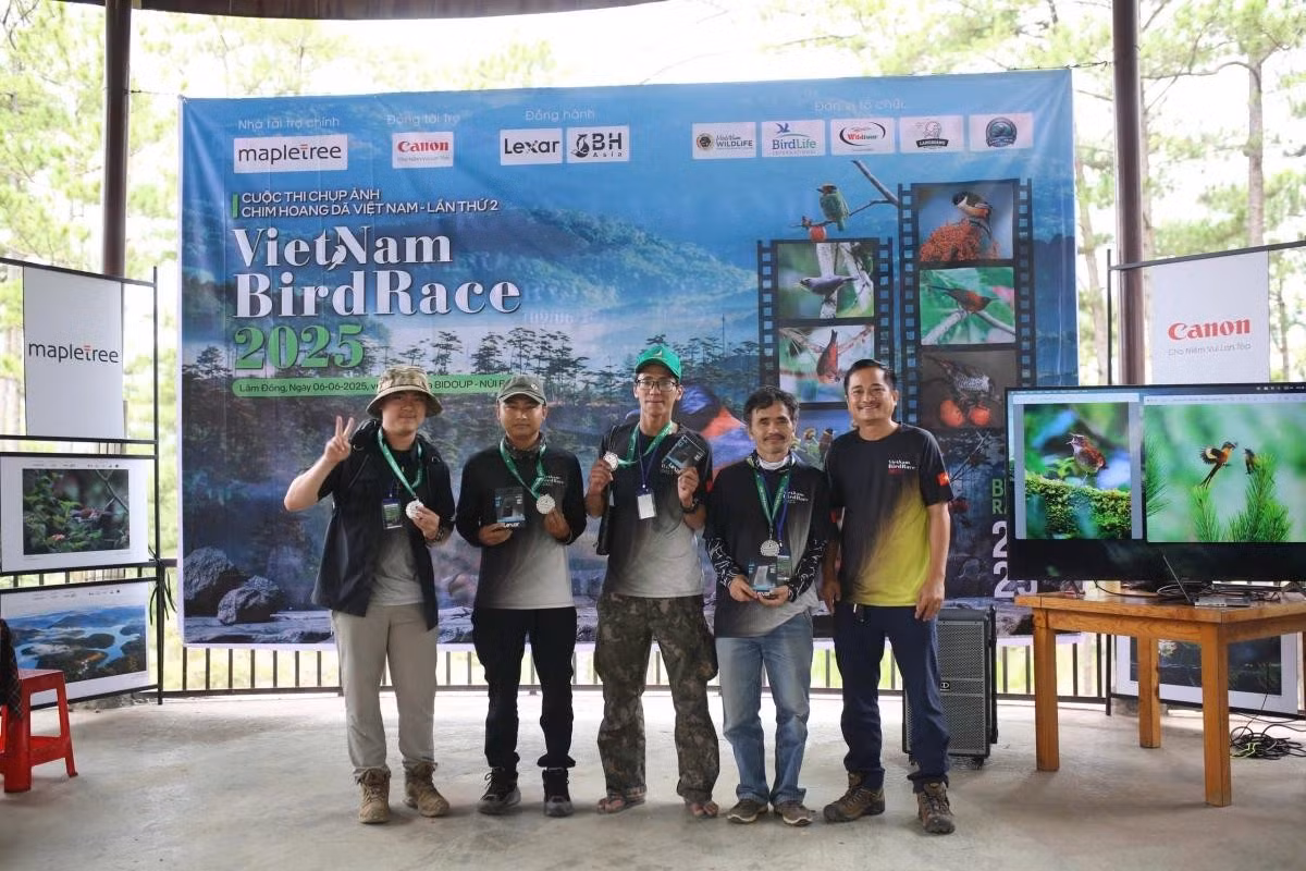 Les quatre lauréats du prix des plus belles photographies de Vietnam BirdRace 2025