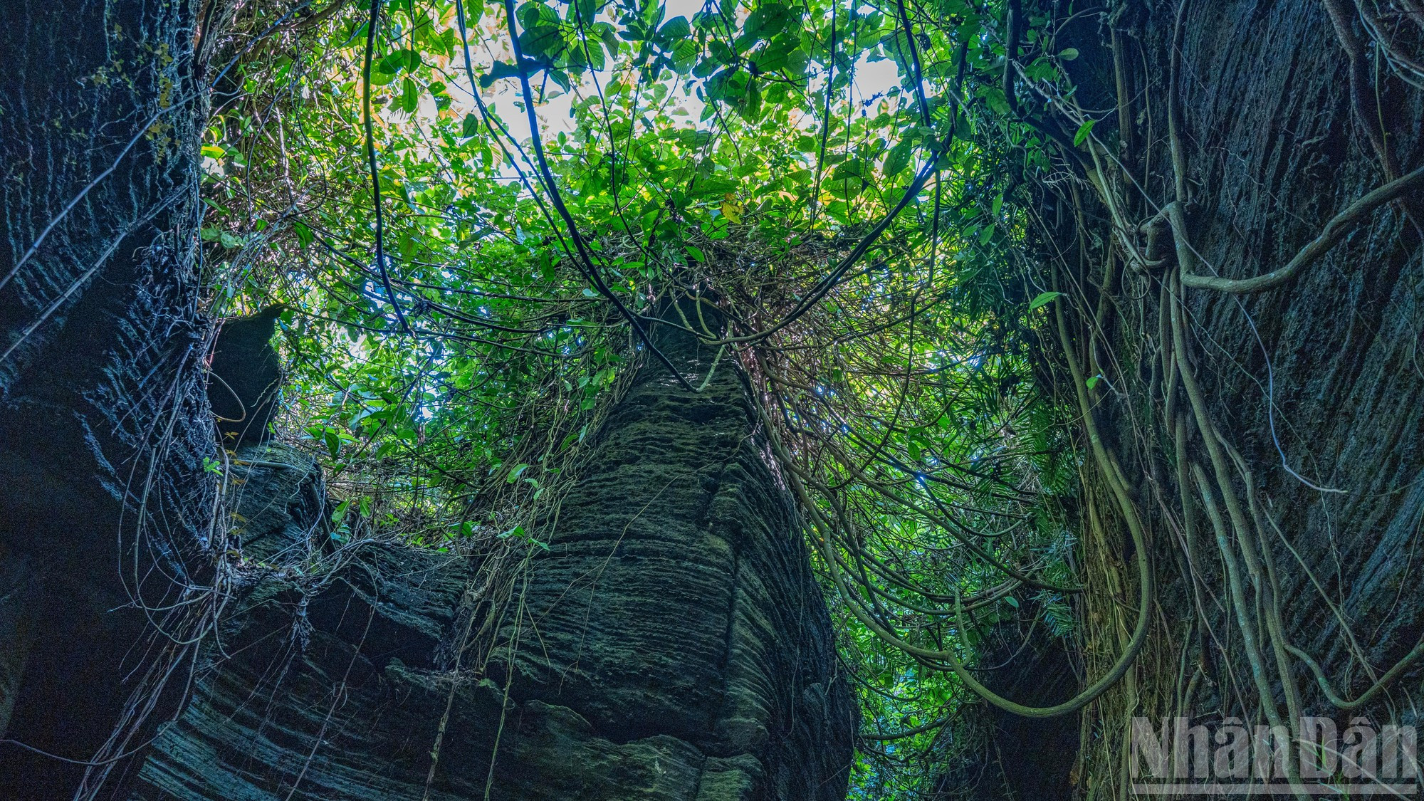 Après des millions d'années et diverses conditions climatiques, ces blocs de pierre ont été « dessinés » par la nature pour prendre de nombreuses formes étranges et frappantes. Après des millions d'années et diverses conditions climatiques, ces blocs de pierre ont été « dessinés » par la nature pour prendre de nombreuses formes étranges et frappantes.