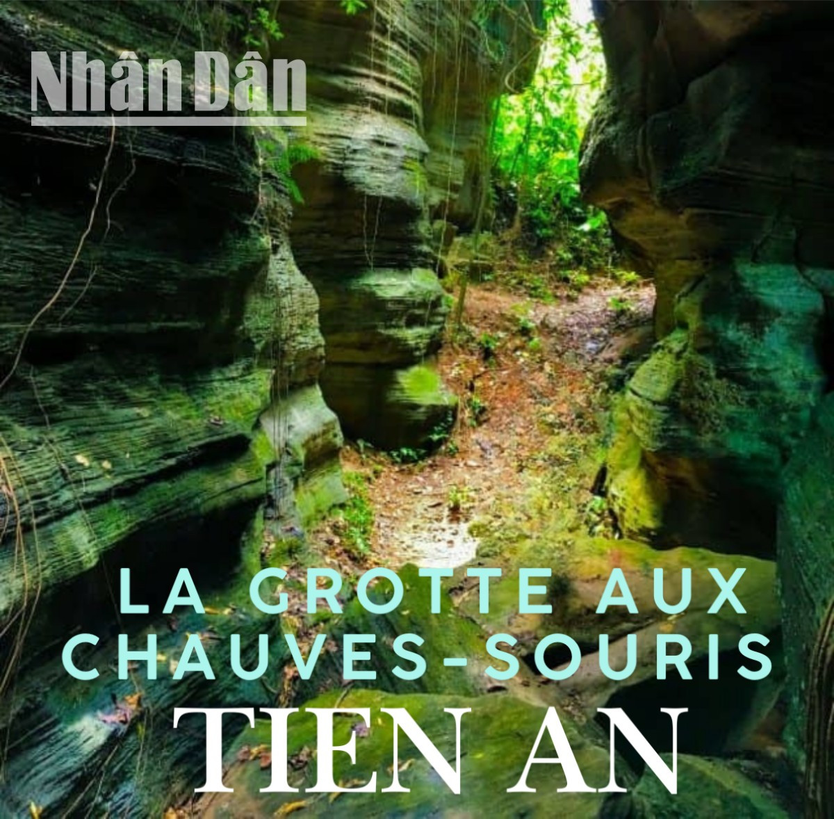 Hang Doi Tien An : la beauté mystérieuse de la création