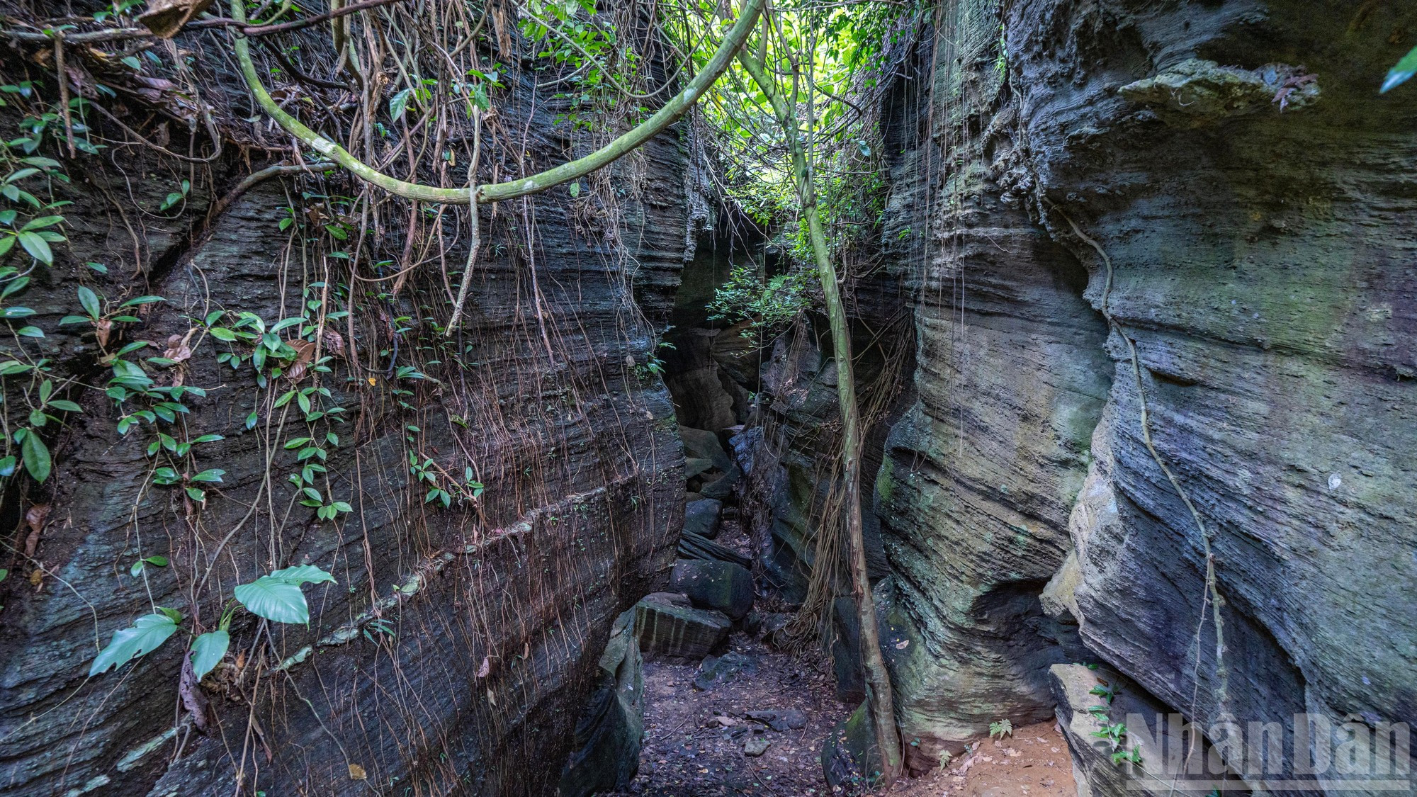 Bien que les grottes ici ne soient nullement affectées par une source ou un cours d'eau, les roches semblent présenter des signes d'érosion, polies, révélant des veines de roche aux motifs ondulés et allongés, comme finement gravés par la main du créateur. Bien que les grottes ici ne soient nullement affectées par une source ou un cours d'eau, les roches semblent présenter des signes d'érosion, polies, révélant des veines de roche aux motifs ondulés et allongés, comme finement gravés par la main du créateur.