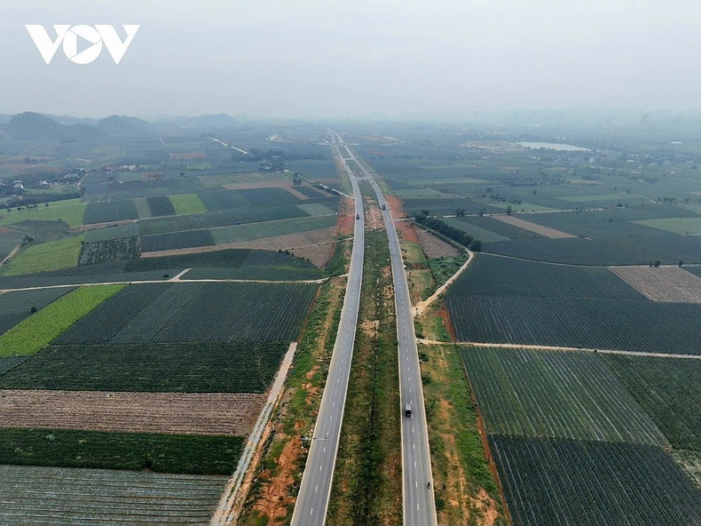 Vus d’en haut, les champs d’ananas de Dong Giao s’étendent à perte de vue : les rangées verdoyantes se mêlent aux teintes dorées des fruits mûrs, dessinant un tableau vivant au cœur du paysage semi-montagneux de Ninh Binh.