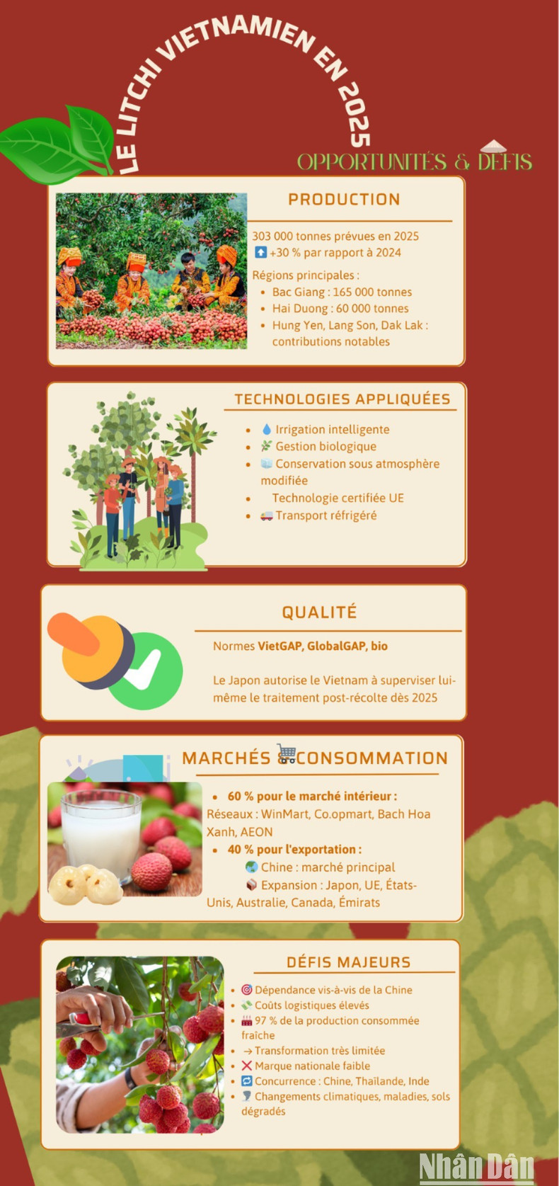 le-litchi-vietnamien-en-2025-8975.jpg